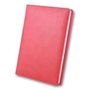 ЗВ-43 WINNER Бриск