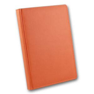 ЗВ-43 WINNER Бриск