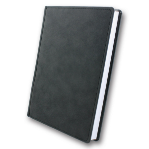 ЗВ-55 NUBA Бриск