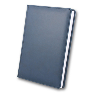 ЗВ-55 WINNER Бриск