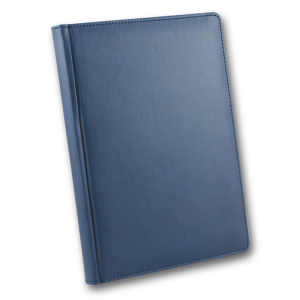 ЗВ-55 WINNER Бриск