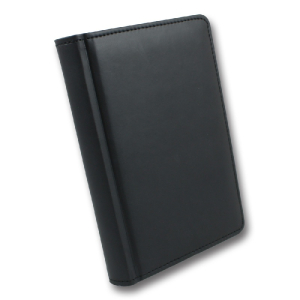 ЗВ-60 WINNER Бриск