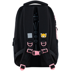AR25-2587M-KITE