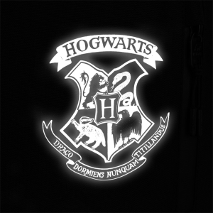 HP25-949M-KITE